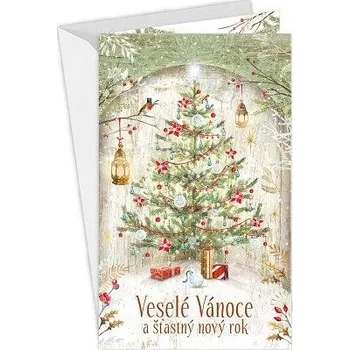 ARGUS Vánoční přání s kapsou na peníze 11-6490c