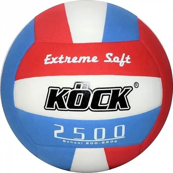 Míčový sport Volejbalový míč SCHOOL 2500 Light