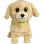 Hafíci II. Lumpík - Retrívr