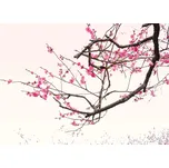 Malvis IS87728/288 288 x 200 cm