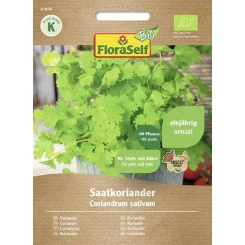 Semeno Koriandr BIO setý FloraSelf Bio