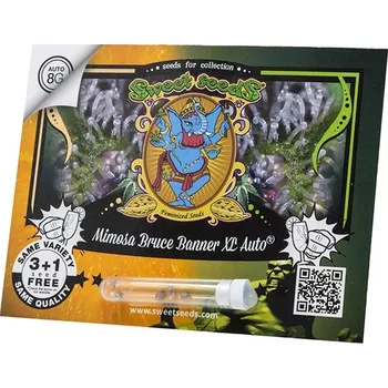 Semeno Mimosa Bruce Banner XL AUTO – samonakvétací semena | Sweet Seeds Feminized (Ks): 3 + 1 Zdarma
