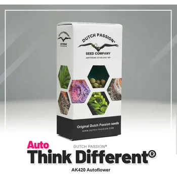 Semeno Think Different® AUTO – samonakvétací semena | Dutch Passion Feminized (Ks): 3 + 1 Zdarma