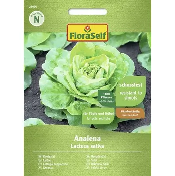 Semeno Salát hlávkový Analena FloraSelf