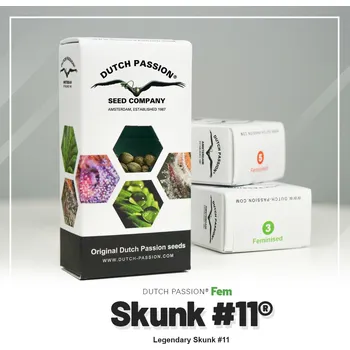 Semeno Skunk #11® – feminizovaná semena | Dutch Passion Feminized (Ks): 3 + 1 Zdarma
