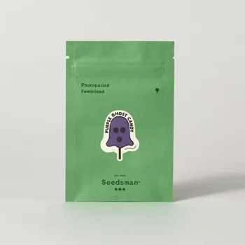 CBD Purple Ghost Candy – feminizovaná semena | Seedsman Feminized (Ks): 1