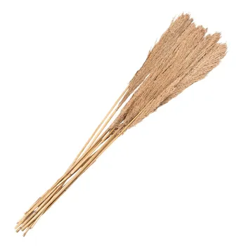 Clayre & Eef 5DF0010 sušené květy pampové trávy béžové 120 cm 10 ks Clayre & Eef 5DF0010 sušené květy pampové trávy béžové 120 cm 10 ks