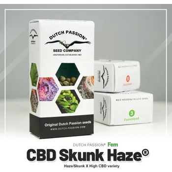 Semeno Skunk Haze® CBD – feminizovaná semena | Dutch Passion Feminized (Ks): 10