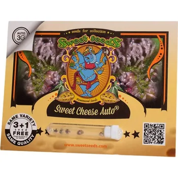 Semeno Sweet Cheese AUTO – samonakvétací semena | Sweet Seeds Feminized (Ks): 5 + 2 Zdarma
