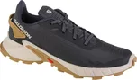 Salomon Alphacross 4 L41724100