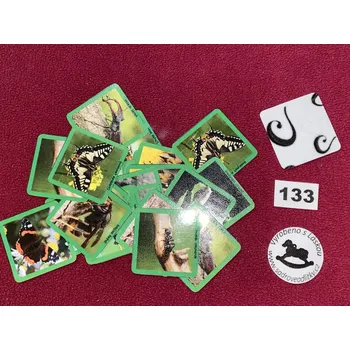 Pexeso HandMade by VeJa Velké pexeso vel.XL č.133 - Hmyz (24kousků)