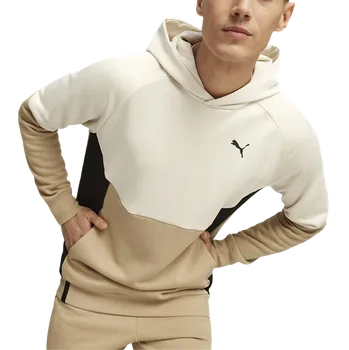 Pánské oblečení Mikina s kapucí Puma TECH Hoodie FL 624381-83 Velikost L