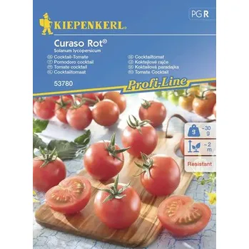 Zahrada Rajče koktejlové 'Curaso' červené F1 (Aranca F1 ) Kiepenkerl