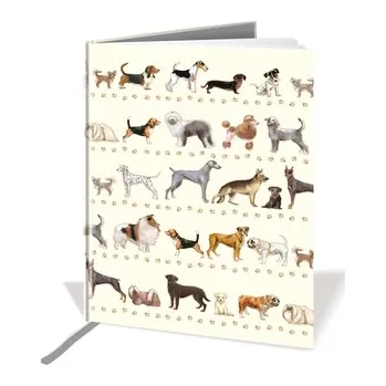 Set školních potřeb QUIRE PUBLISHING Zápisník A6 8555 QP