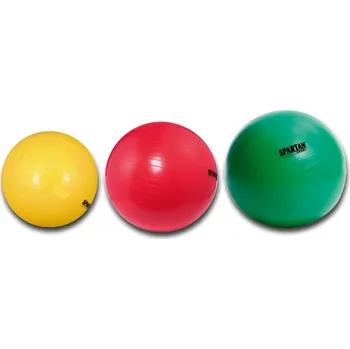 Gymnastický míč Gymnastický míč SPARTAN průměr 55 cm - modrý