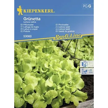 Semeno Salát listový Grünetta Kiepenkerl