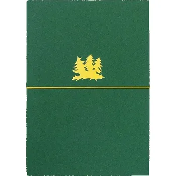 Zápisník Reformát zápisník A5 recyklovaný zelený, 60 čistých listů