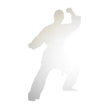 Polep vozidla SAMOLEPKA Karate 014 levá (82 - odrazková reflexní bílá) NA AUTO, NÁLEPKA, FÓLIE, POLEP, TUNING, VLASTNÍ TEXT, TISK, AUTOSAMOLEPKY.cz, POLEPY, OBRÁZEK, LOGO, SAMOLEPKY