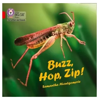Cizí jazyk Buzz, Hop, Zip! Big Book - Montgomerie, Samantha