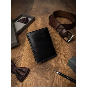 Peněženka Cedar Pánská peněženka Enisi černá Univerzální