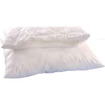 Polštář Brotex Alaska Aloe Vera 70 x 90 cm 900 g