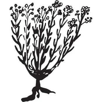 Olej ze slaměnky italské 100% Alteya Organics 5 ml