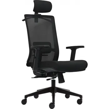 Kancelářská ergonomická židle DVIS — více barev Černá