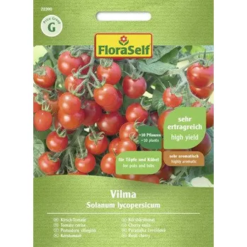 Semeno Rajče cherry Vilma FloraSelf