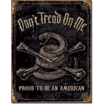 Plechová cedule Plechová cedule DTOM - Proud to be American