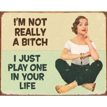 Plechová cedule Plechová cedule EPHEMERA - Not a Bitch