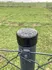 Příslušenství pro plot PILECKÝ Čepička na plotový sloupek 48 mm černá