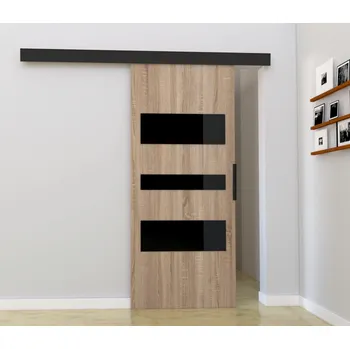 Interiérové dveře Nábytek PEGAS s.r.o. Posuvné dveře STANDART MIX C100, Sonoma/Černá