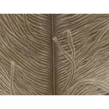 Pštrosí peří Wapsi Ostrich Herl Tan
