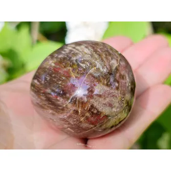 Přírodní kámen Zkamenělé dřevo hladký kámen z Madagaskaru (125g)