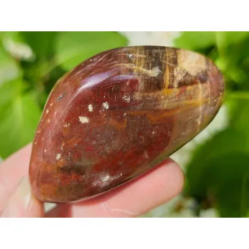 Přírodní kámen Zkamenělé dřevo hladký kámen z Madagaskaru 90g