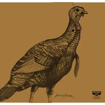 Terč na sportovní střelbu Terč Birchwood Casey 60x63 cm Krocan set