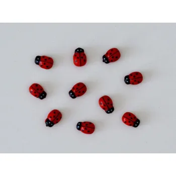 Dřevěná dekorace - Beruška