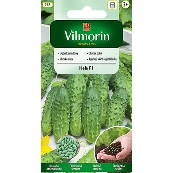 Semeno Okurka polní Hela F1 (obalovaná semena) 10/2023