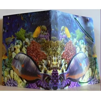 Desky na spisy/výkresy s gumou, motiv akvarium,3D efekt