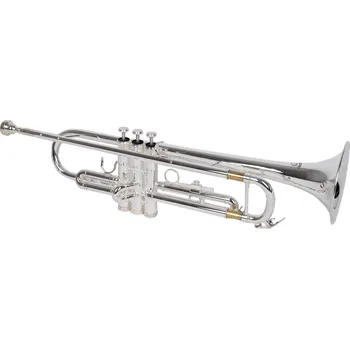 Hudební nástroj SOUNDSATION STPSL-10