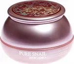 Bergamo Pure Snail Wrinkle Care Cream…