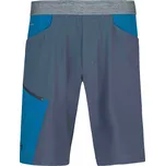 Pánské kraťasy HANNAH TORRES INDIA INK/SAILOR BLUE M