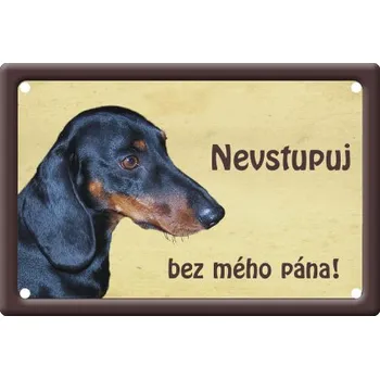 Plechová cedule Smal Výstražná cedule: Jezevčík hladkosrstý II