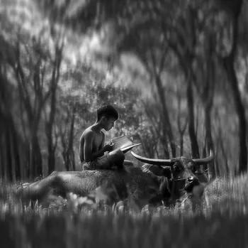 Plakát Plakát, Obraz - Learn Spirit, Antonyus	Bunjamin (Abe)