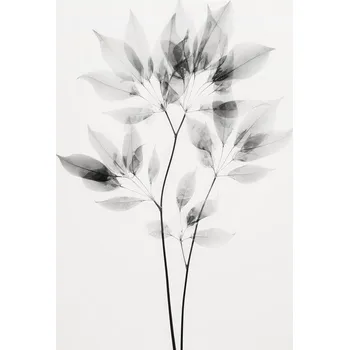 Plakát Plakát, Obraz - Transparent Botanic No 8, Treechild