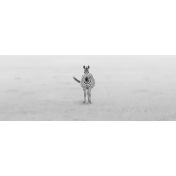 Plakát Plakát, Obraz - Lonely Zebra, Yun Wang