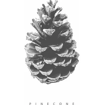 Plakát Plakát, Obraz - pinecone, Finlay & Noa