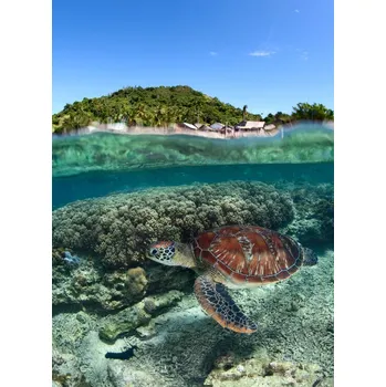 Plakát Plakát, Obraz - Along shore, Andrey Narchuk