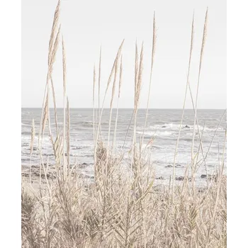 Plakát Plakát, Obraz - Beach_Vass_001, Studio Collection