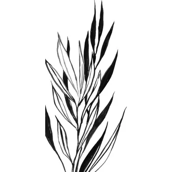 Plakát Plakát, Obraz - Leaves line art, Blursbyai